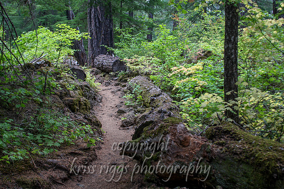 mcK_trail