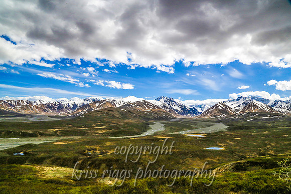 Denali National Park
